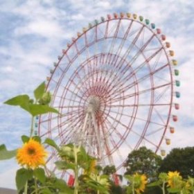 *おきらく通信*