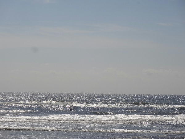 九十九里浜サイクリング 九十九里浜サイクリング