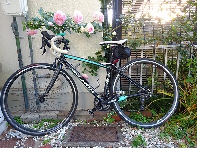 バラと自転車