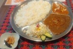 [伊東]シャマー